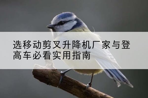 渠县电动升降机厂家-选移动剪叉升降机厂家与登高车必看实用指南