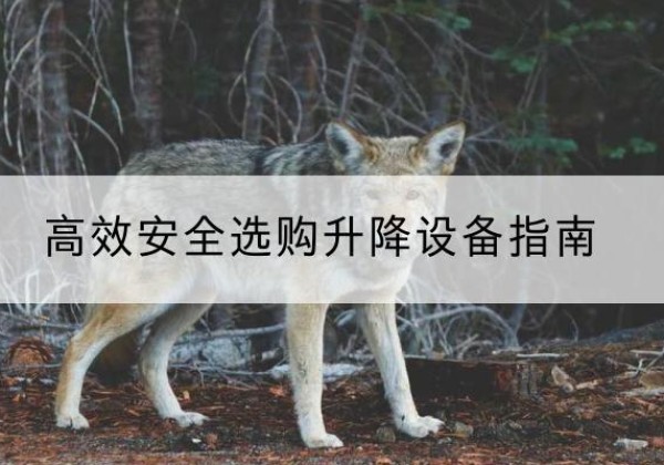 渠县升降货梯厂家推荐-*安全选购升降设备指南