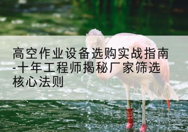 渠县剪叉式升降机厂家-高空作业设备选购实战指南-十年工程师揭秘厂家筛选核心法则